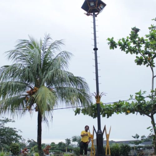 high-mas-belitung-7 high-mas-belitung-7