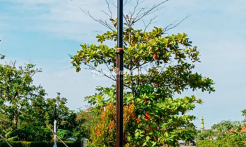 Fitur Modern Pada Tiang Lampu Fitur Modern Pada Tiang Lampu