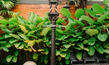 Tiang Lampu Single Arm Hadir Untuk Belitung