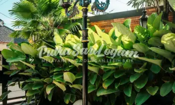 IMG04240-2-2 (1) Fungsi dan Estetika Tiang Lampu Dual Arms UNTIDAR.